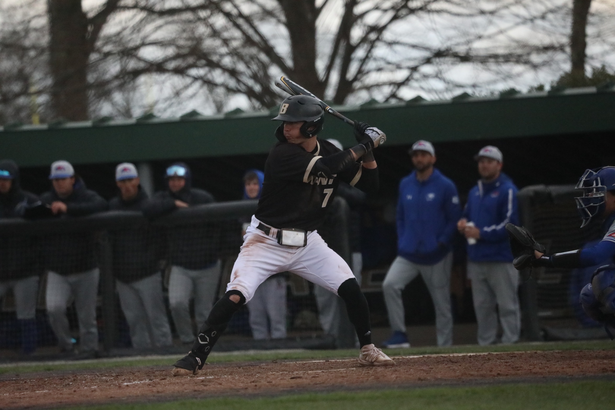 Frasier, Gustin lead Bryant to sweep of Mount