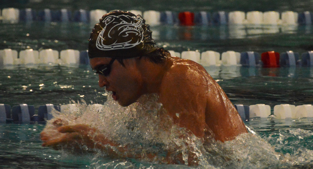 Schulte named Corvias ECAC Swimmer of the Week