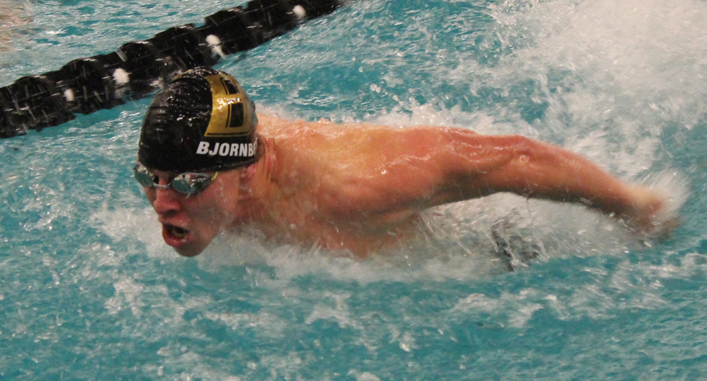 Pool records fall Sunday against NJIT