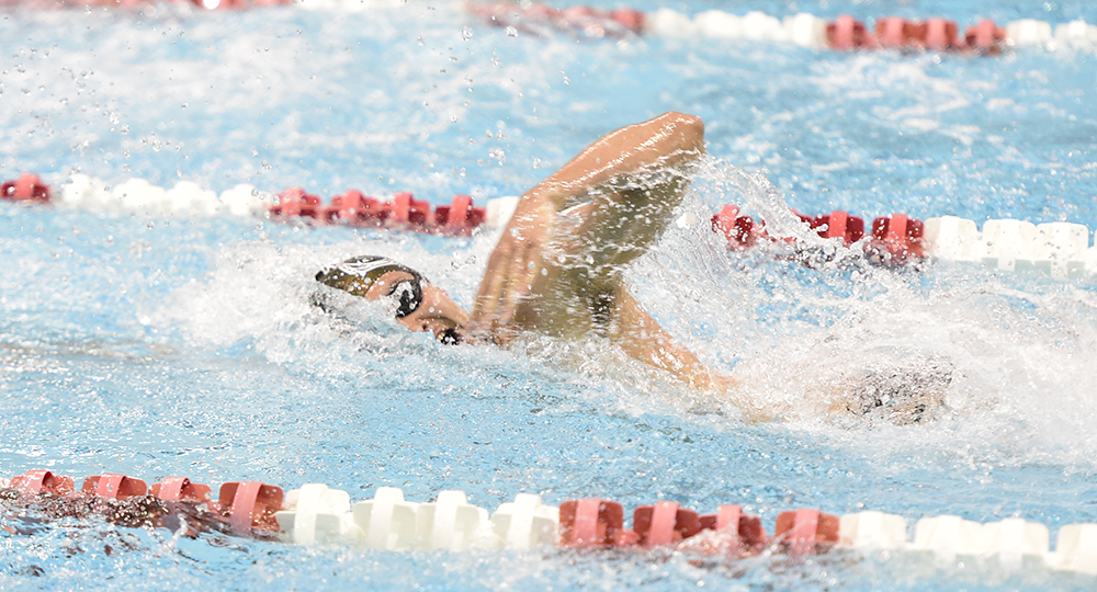 Schulte earns MAAC Men's Swimmer of the Week