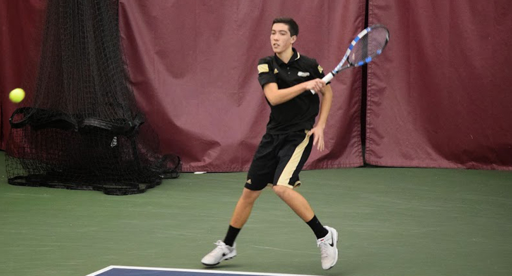 Bulldogs take 12 of 17 matches from Terriers