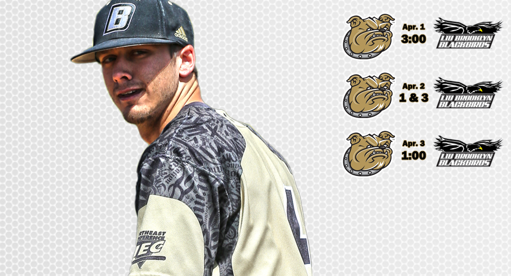 Bulldogs welcome Blackbirds to Smithfield for weekend series