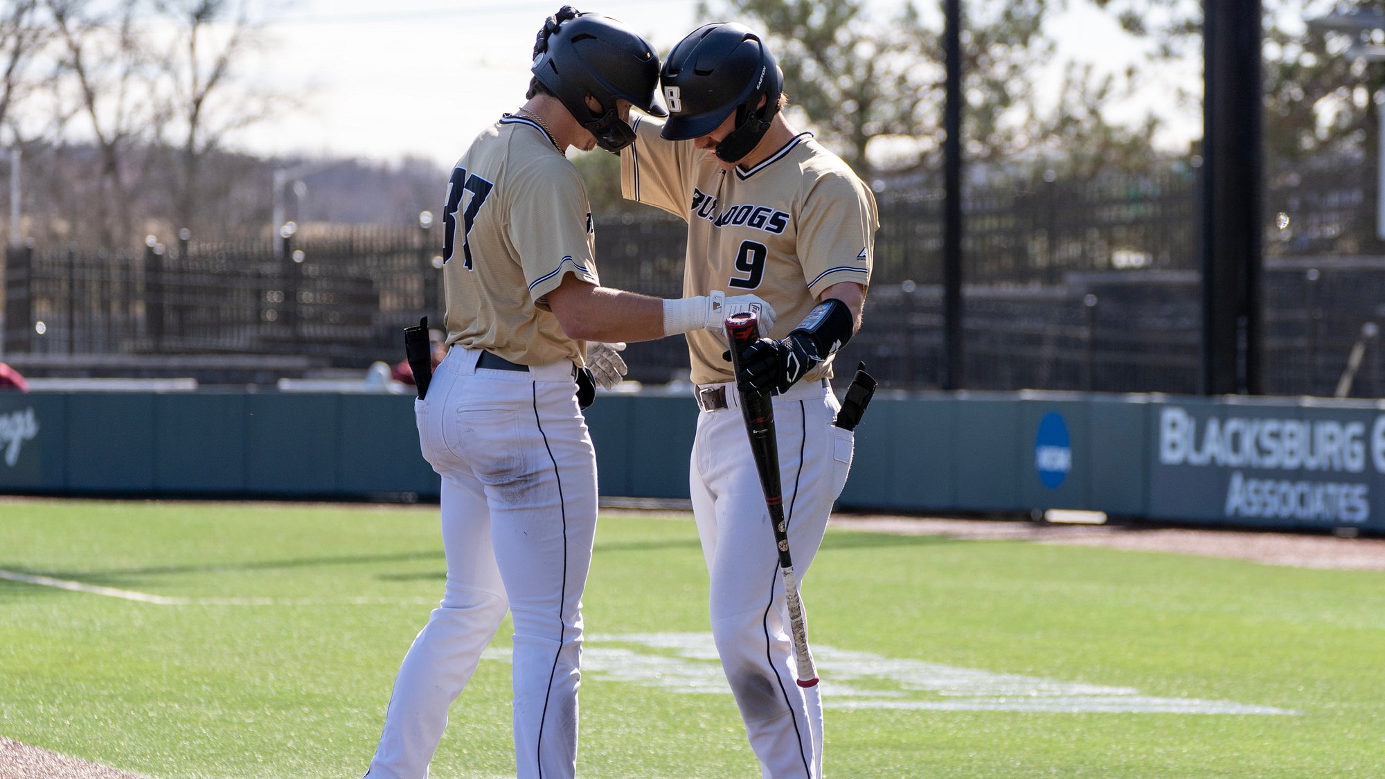 Bryant, CCSU meet in home-and-home this weekend