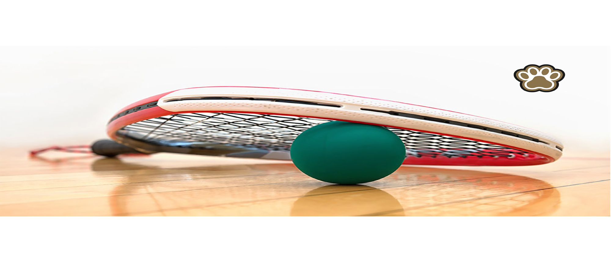 RACQUETBALL HEADS SOUTH FOR SUCCESSFUL TOURNAMENT