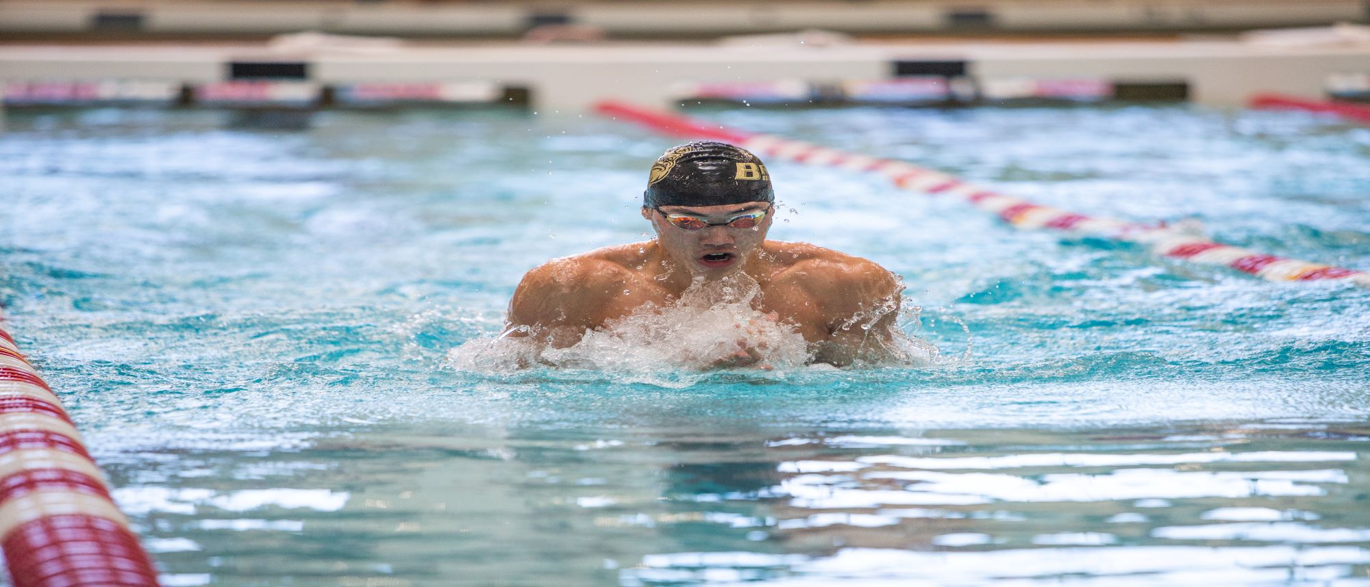 Swimming and Diving Competes in Boston Tri-Meet