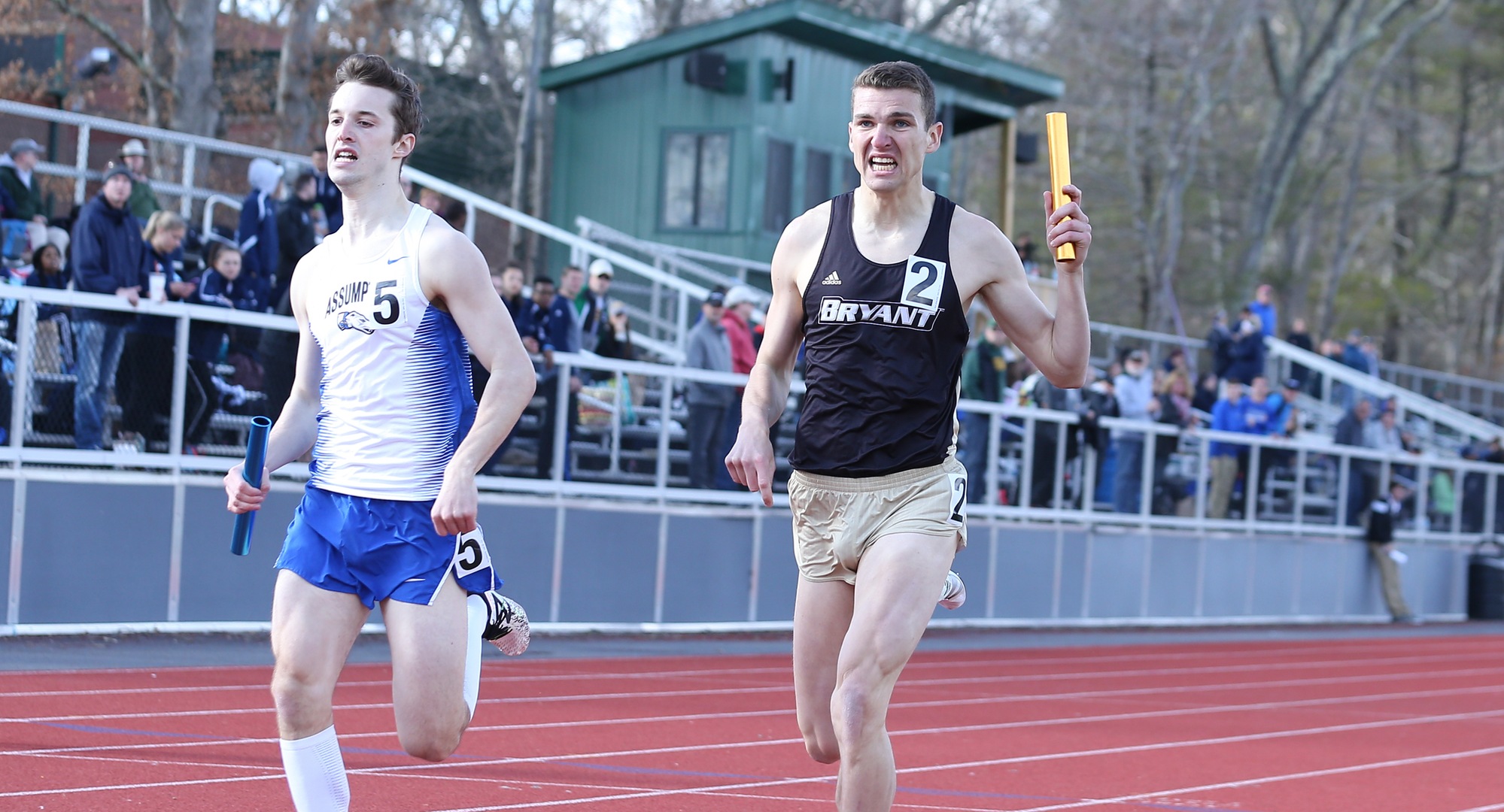 Lodge, 4x800 relay set school records at ECAC/IC4As and New Englands