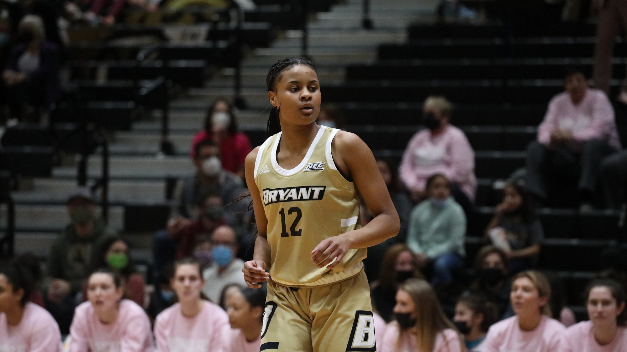 Jallow and Bjelko score 12 in loss to FDU