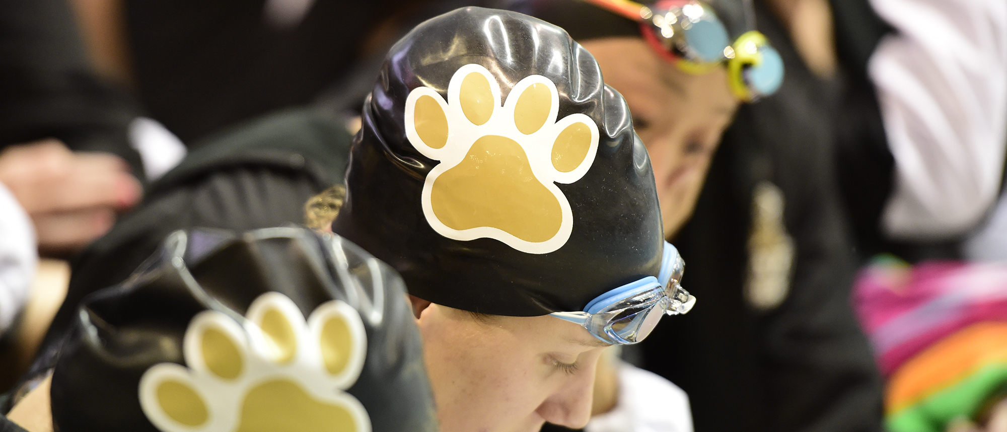 Swimming and Diving announces 2019-20 schedule