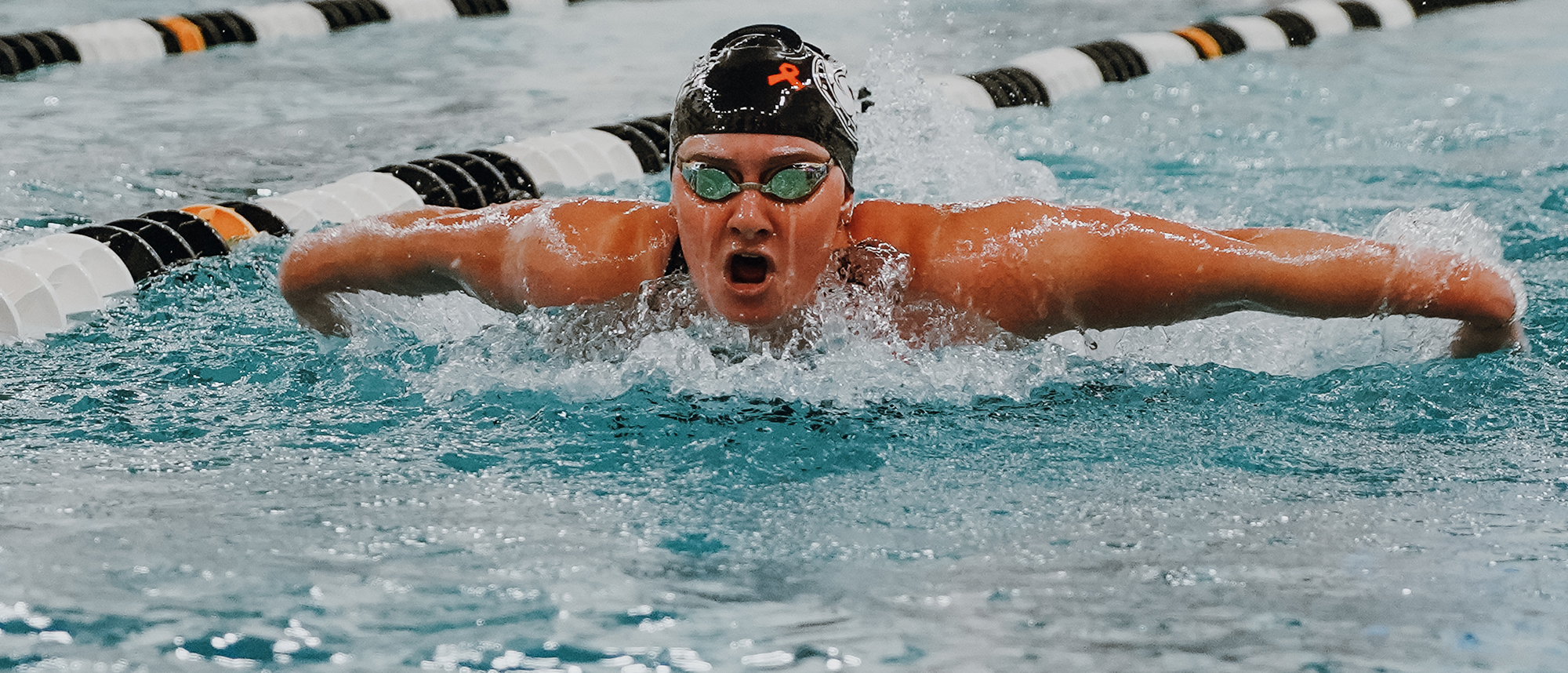 Swimming and Diving Faces Brown in Exhibition