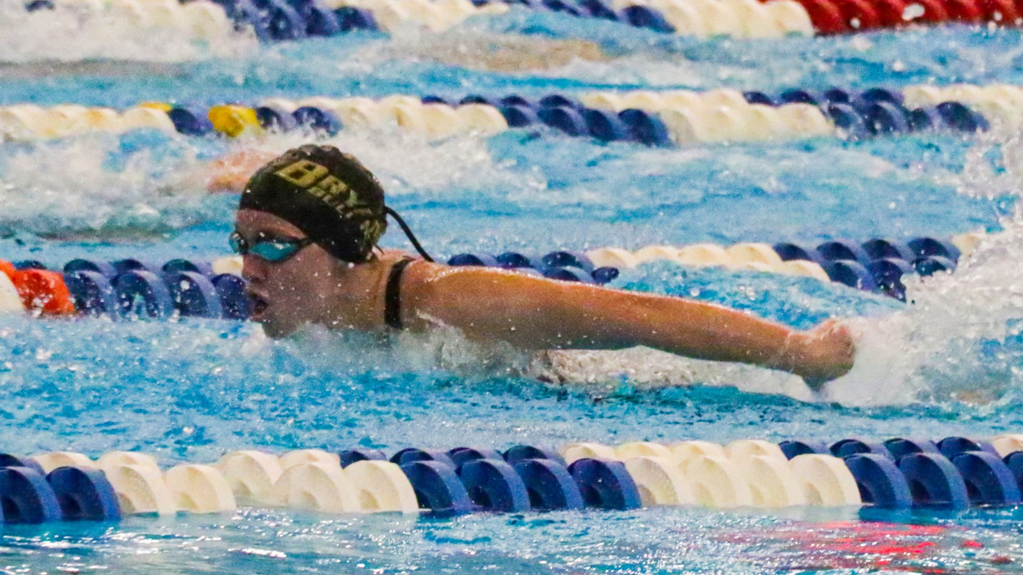 Bulldog Swimming and Diving Dueling With Providence